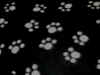 pawprint.JPG (23763 bytes)